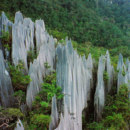 Gunung Mulu national park, a place with the most extensive cave system in the world, is located in which country?